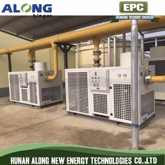 Système de déshumidification du biogaz 5000m3/H avec ventilateur